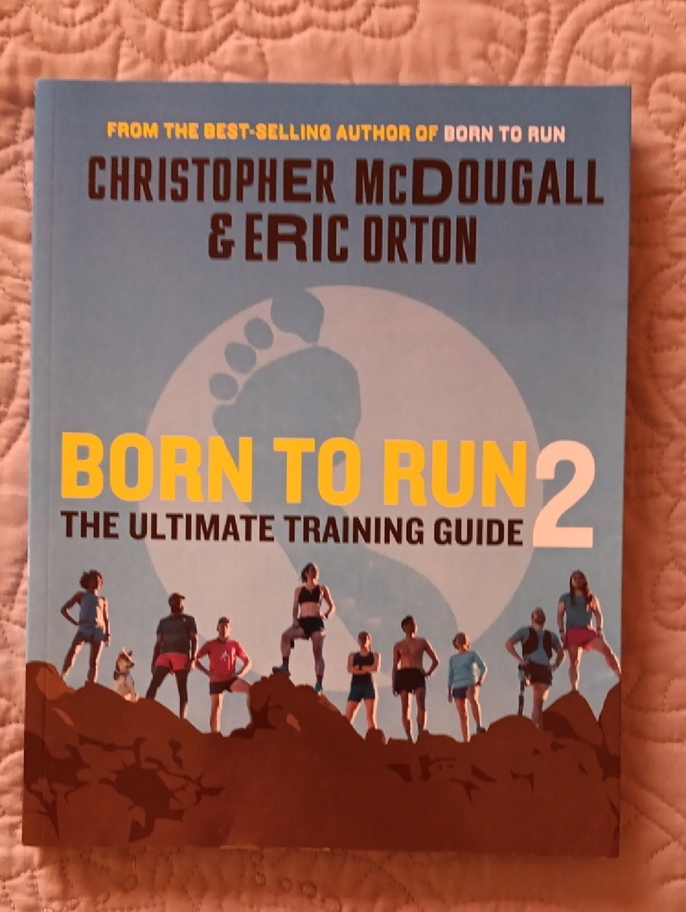Born to Run 2: The Ultimate Training Guide - Blue & Yellow Cover